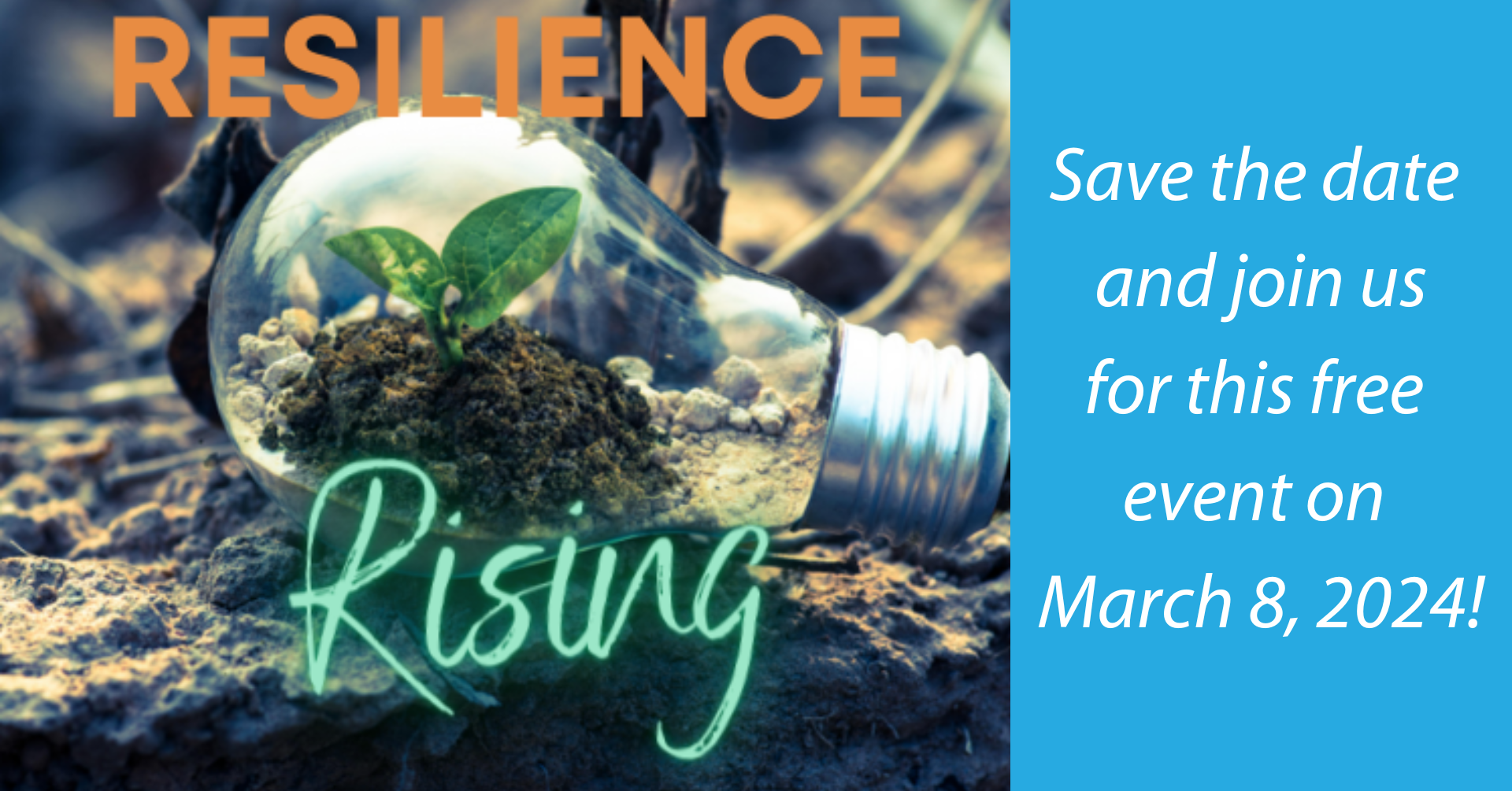 Resilience Rising Conference banner for 2024.